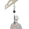 Starke Self-Retracting Lanyard, 6 ft. Length, Steel Snap Hook, 1 Leg(s), 310 lb Weight Capacity SRLWB-6 - alternate 2
